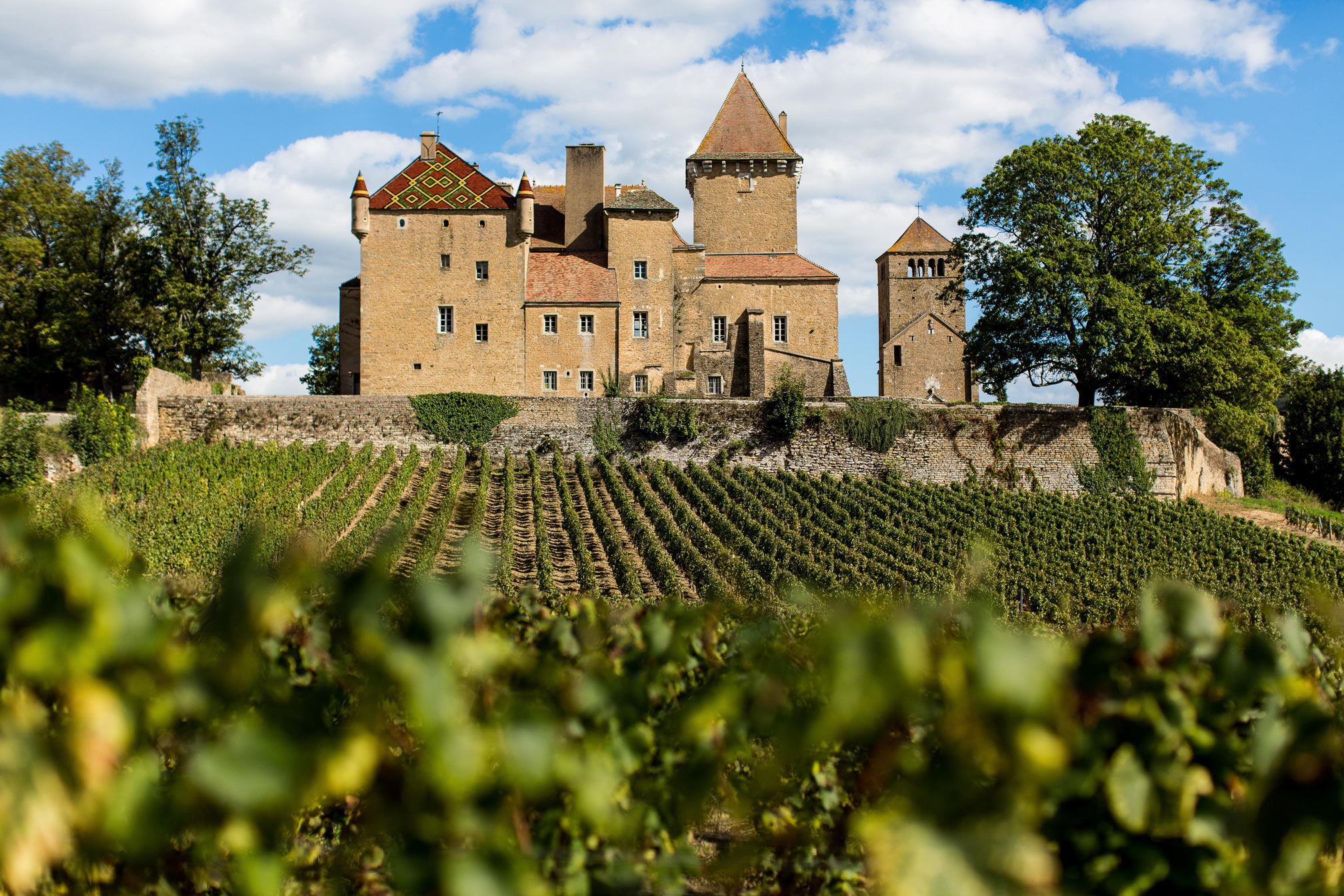 Chateau de Pierreclos